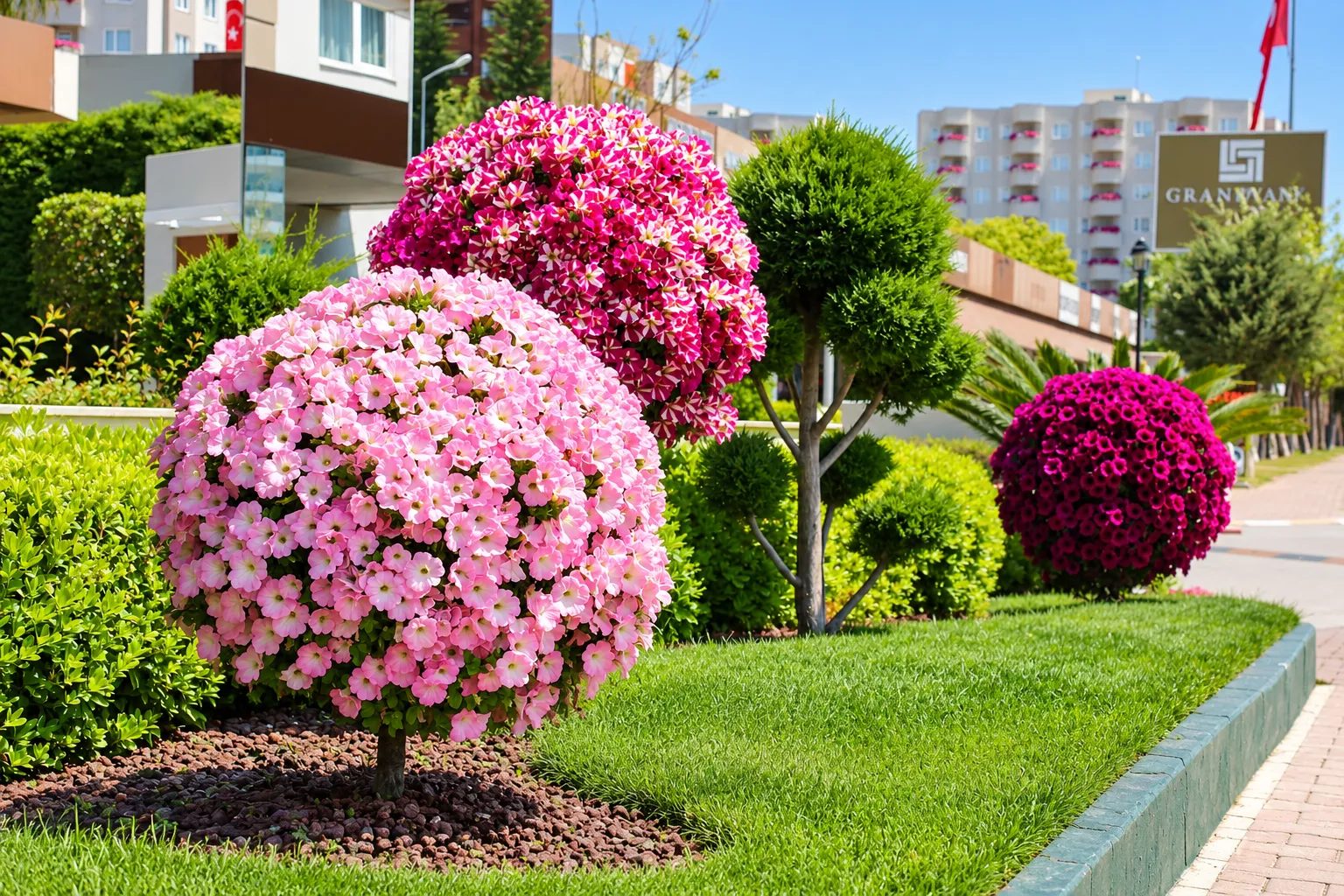 Site Bahçesi ve Çiçek Topiary Uygulaması